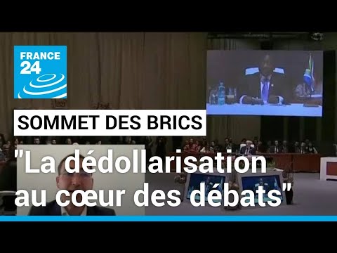 15ème Sommet des BRICS à Johannesburg : la dédollarisation au cœur des débats • FRANCE 24