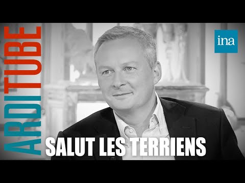 Salut Les Terriens ! de Thierry Ardisson avec Bruno Le Maire, Cédric Villani ... | INA Arditube