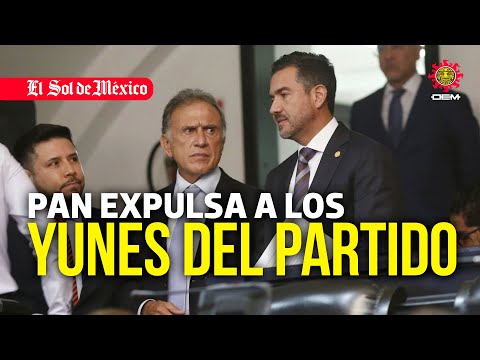 PAN expulsa a los Yunes del partido