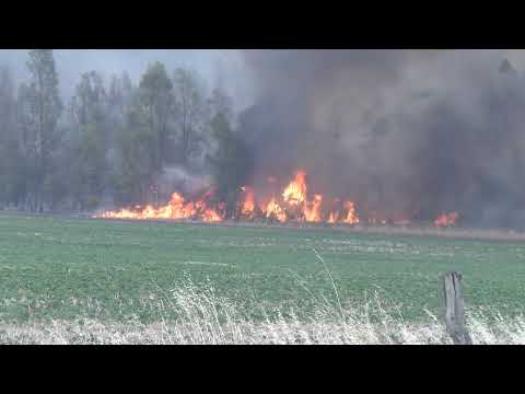 Incendio en Paysandú y Río Negro: Más 22 mil hectáreas quedaron afectadas por el fuego