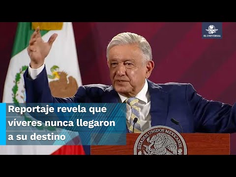 “Es falso”, dice AMLO por reportaje de Pamela Cerdeira; la periodista le responde