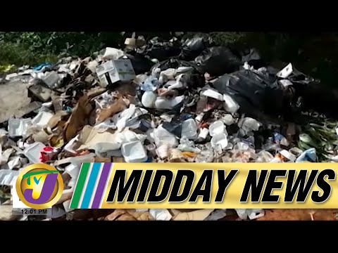 Poor Garbage Collection | JLP Supporters Protest | TVJ Midday News - Feb 3 2022