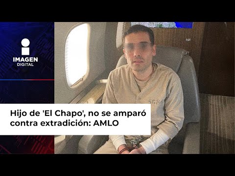 El presidente López Obrador dijo que no hubo amparo de Ovidio para evitar ser trasladado a EU