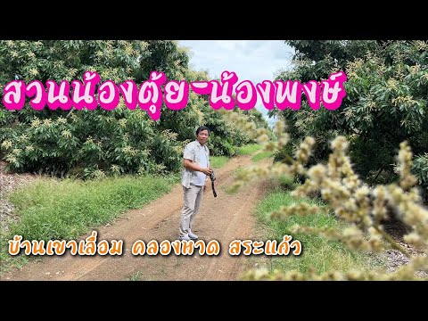 สูตรสารทางใบสวนน้องตุ้ย-น้องพง