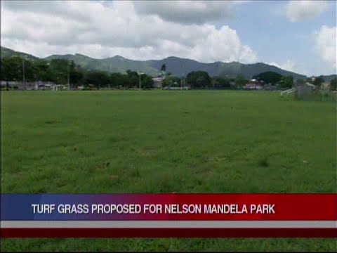 POS Mayor Shelves Plan For Astro Turf At Nelson Mandela Park