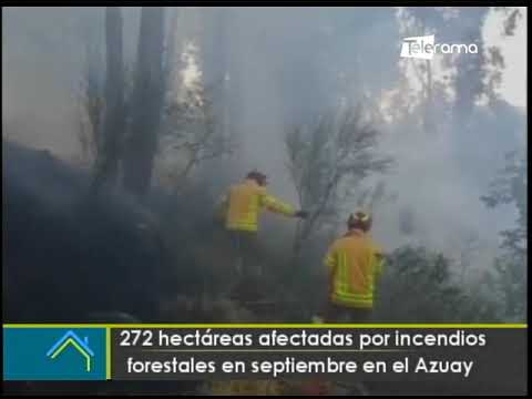 272 hectáreas afectadas por incendios forestales en septiembre en el Azuay
