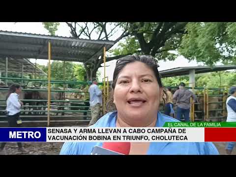 SENASA Y ARMA LLEVAN A CABO CAMPAÑA DE VACUNACIÓN BOBINA EN TRIUNFO, CHOLUTECA