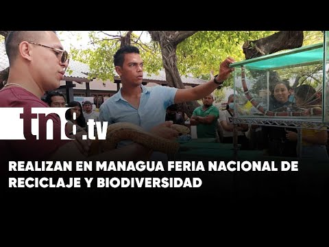 Realizan Feria Nacional de Reciclaje y Biodiversidad en Managua - Nicaragua
