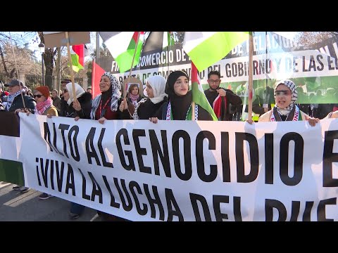 Miles de manifestantes salen a las calles por toda España para mostrar su apoyo a Palestina
