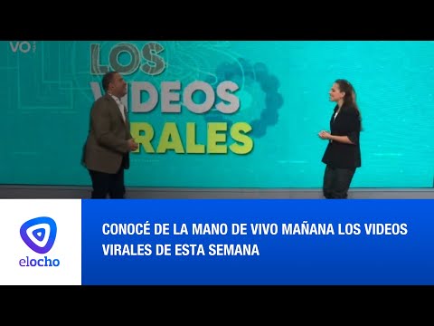 CONOCÉ CUÁLES FUERON LOS VIDEOS VIRALES DE ESTA SEMANA