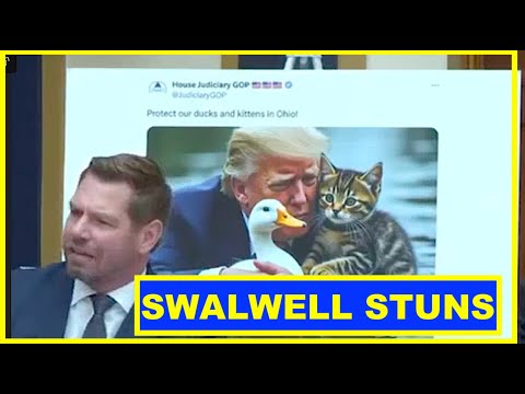 YIKES ERIC SWALWELL RIPS JIM JORDAN NEW A HOLE -  ALIENS ATE DUCKS BS