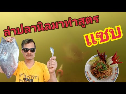 ตามล่าปลานิลมาทำสูตรแซบ ตามล่าปลานิลมาทำสูตรแซบ