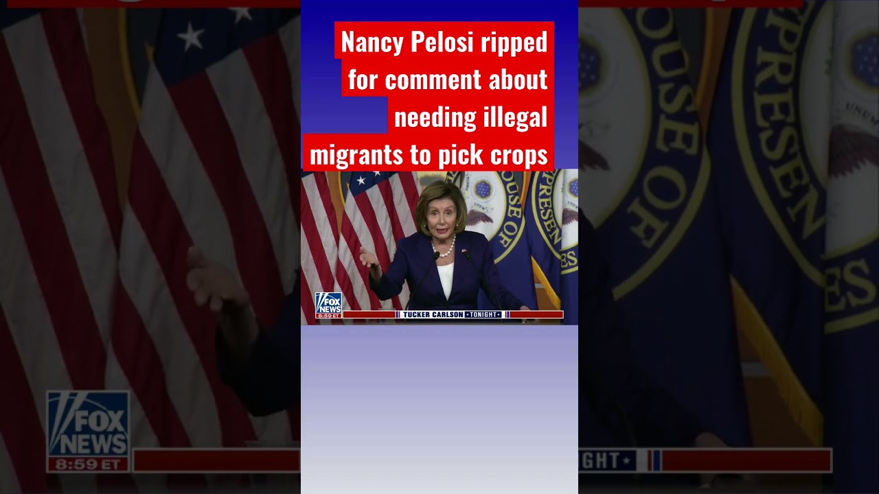 Will Cain: Here is what Nancy Pelosi really thinks about illegal migrants #shorts