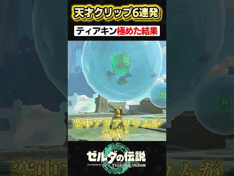 【天才】ティアキンを極めた猛者たちによる天才クリップ6選【ティアキン】【面白クリップ集】