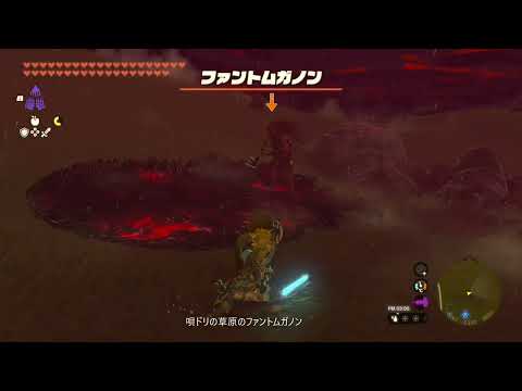 【ティアキン】唄ドリの草原のファントムガノン ゼルダの伝説ティアーズオブザキングダムNintendo Switch 2 Edition