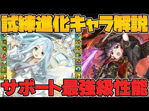 試練進化アマテラス&ツクヨミ実装！超絶サポート枠性能に強化！絶対に1体は作ろう！【パズドラ】