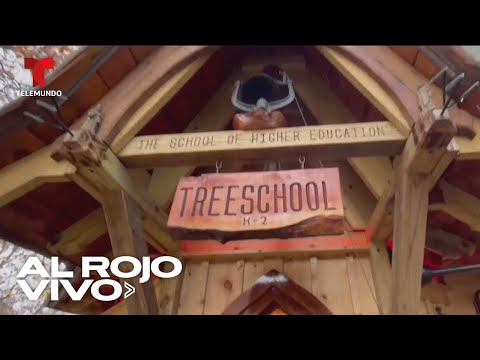 Niños convierten su casita del árbol en una escuela en Massachusetts | Al Rojo Vivo | Telemundo