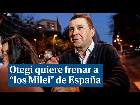 Otegi pide pactos de legislatura para frenar el acceso al poder de los Milei en España