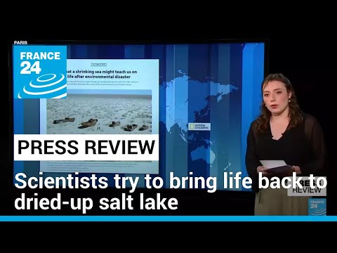 Scientists struggle to bring life back to desertified salt lake • FRANCE 24 English