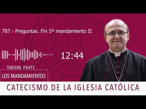 Catecismo PREGUNTAS (2009-01-26) Fin del quinto mandamiento