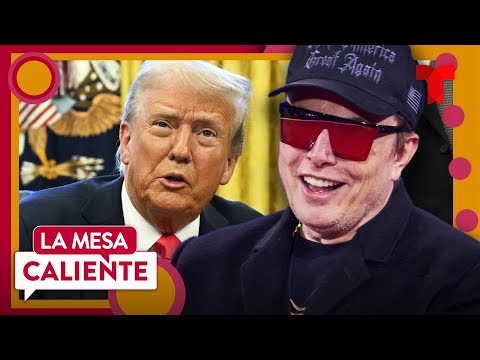 Video de IA muestra a Trump besando los pies de Elon Musk | La Mesa Caliente