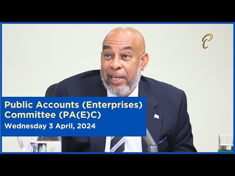 21st Meeting - Public Accounts (Enterprises) Committee - April 3, 2024 - NP