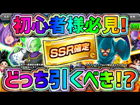 【ドッカンバトル】初心者様が引くべき天下一SSR確定チケットガシャ！【DragonBallZDokkanBattle】