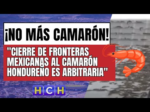 Cierre de fronteras mexicanas al camarón hondureño es arbitraria: Secretaría Desarrollo Económico