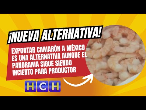 Exportar camarón a México es una alternativa aunque el panorama sigue siendo incierto para productor