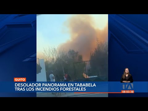 En Tababela equipos de emergencia realizan trabajos de sofocación en zonas afectadas por el incendio