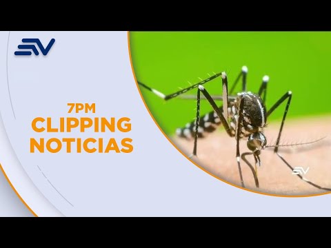 Los casos de dengue y leptospirosis siguen concentrados en Durán | Televistazo | Ecuavisa