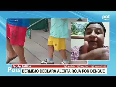 Bermejo declara alerta roja por dengue