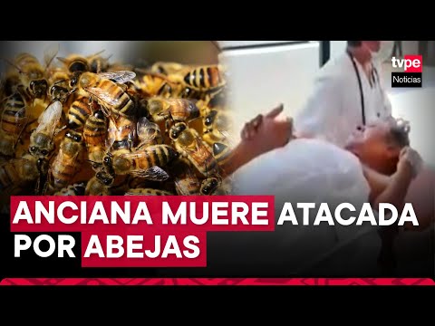 Piura: adulta mayor perdió la vida luego de sufrir el ataque de un enjambre de abejas