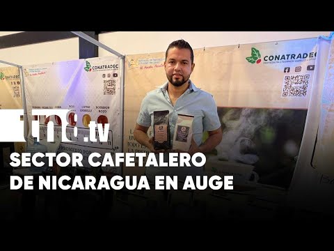Nicaragua con estándares de calidad en el sector cafetalero