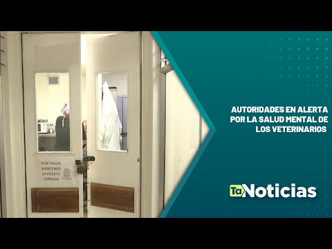 Autoridades en alerta por la salud mental de los veterinarios - Teleantioquia Noticias