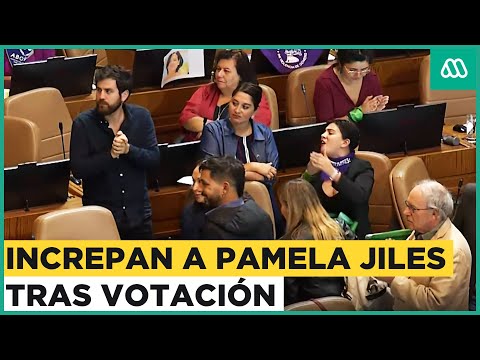 ¡Te cag*ste a Chile!: Increpan a Pamela Jiles tras fracaso de Reforma Tributaria