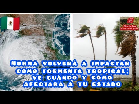 Norma volverá a impactar como tormenta tropical; ve cuándo y cómo afectará tu estado