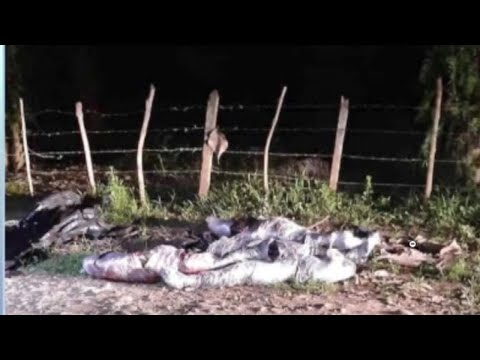Hallan cuerpos embalados en Palenque, Los Ríos