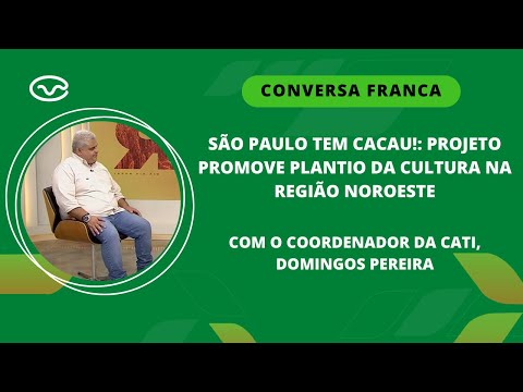 São Paulo tem cacau!: Projeto promove plantio da cultura na região noroeste com Domingos Pereira