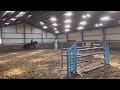 Cheval de CSO Fijn springpaard