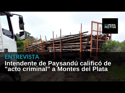 Intendente de Paysandú: Hubo mala fe de parte de Montes del Plata en accidente que bloqueó un camino