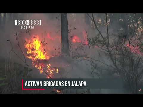 Autoridades de Jalapa lanzan campaña contra los incendios forestales - Nicaragua