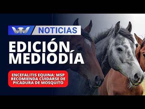 Edición Mediodía 04/12 | Encefalitis equina: MSP recomienda cuidarse de picadura de mosquito