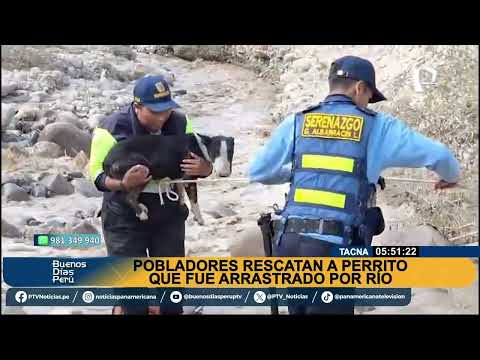 Bomberos rescataron a perrito que llevaba varios días atrapado en un barranco en Ayacucho