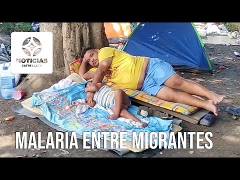 Casos de malaria entre migrantes preocupan a Honduras