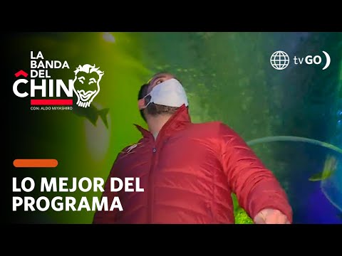 La Banda del Chino:  ¡El acuario más grande de Lima! (HOY)