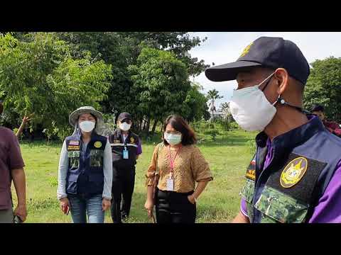 ไปดูโครงการอนุรักษ์พันธุกรรมพื ไปดูโครงการอนุรักษ์พันธุกรรมพื