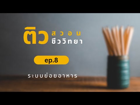 ติวสอวนชีวะ(ep8):ระบบย่อย