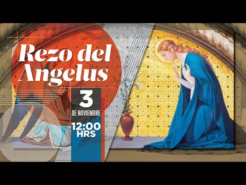 Ángelus, Martes 3/11/2020