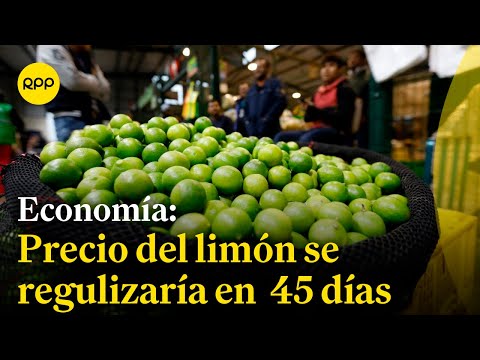 Precio del limón se regulizaría en 45 días, según agricultor de Piura